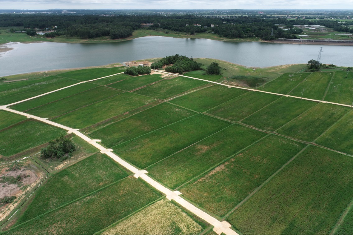 海南省年度耕地保护技术服务工作