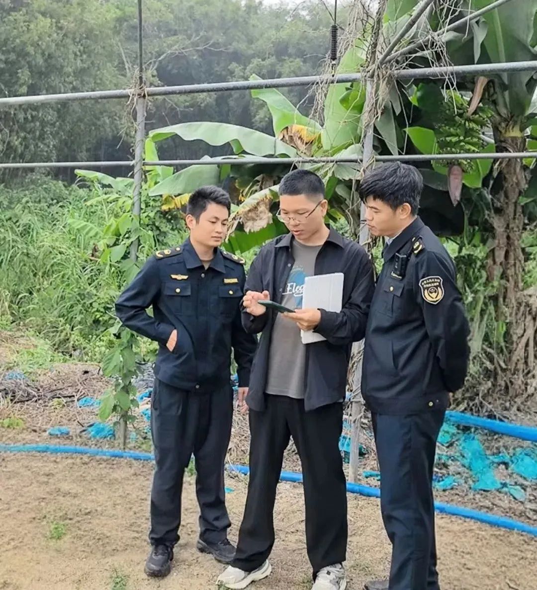 图片关键词 图片关键词