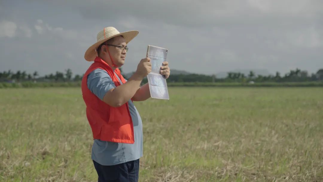 图片关键词 图片关键词