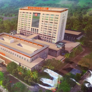 澄迈县中医院搬迁工程项目全过程造价咨询服务