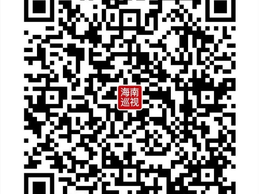 海南省工程咨询设计集团有限公司党委巡视公告