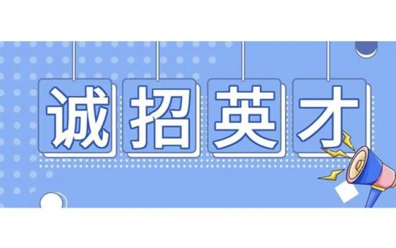 海南省工程咨询设计集团有限公司 面向全国公开选聘总建筑师公告