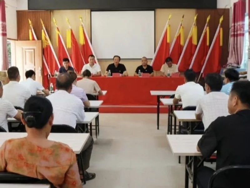 践初心担使命&mdash;&mdash;海南咨询集团开展系列迎&ldquo;七一&rdquo;主题党日活动