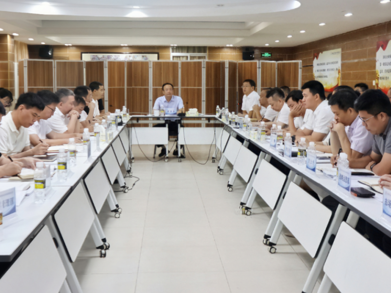 海南咨询2025年上半年经营分析会议在海口召开
