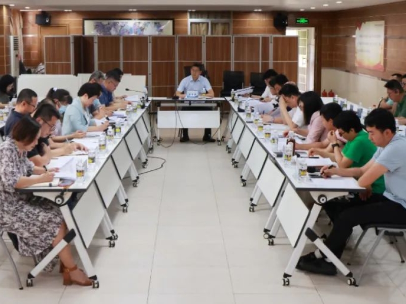 海南咨询集团召开2024年度技术成果质量抽查情况反馈会