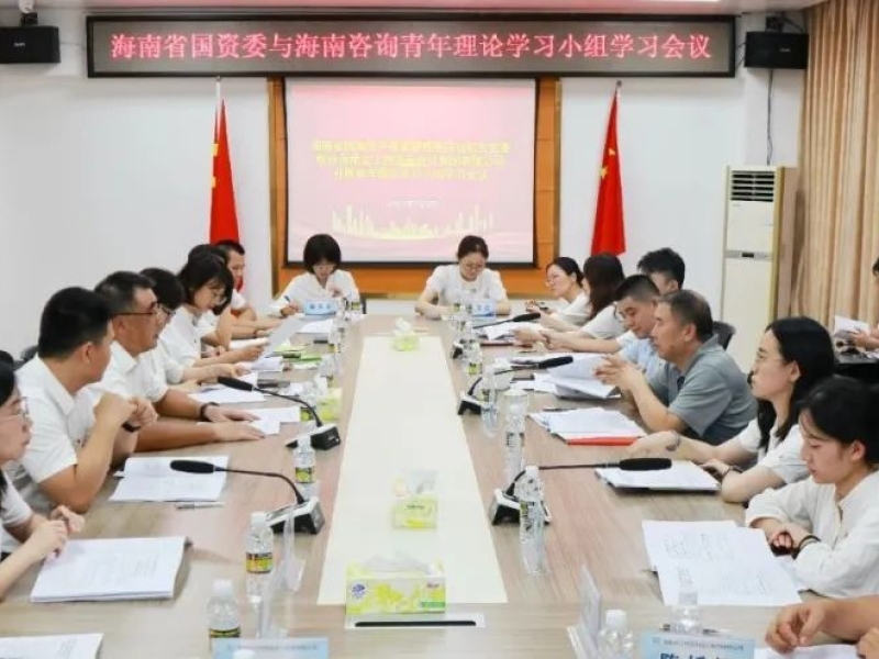 海南省国资委机关党委与海南咨询党委联合开展青年理论学习小组学习会议