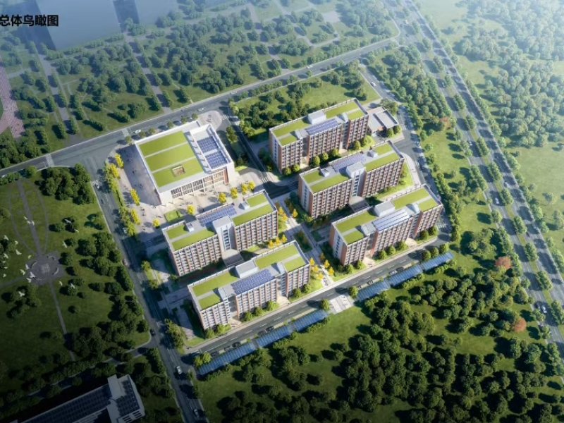 服务民生工程，助推重大项目｜海南咨询集团加快推动各领域项目建设（一）