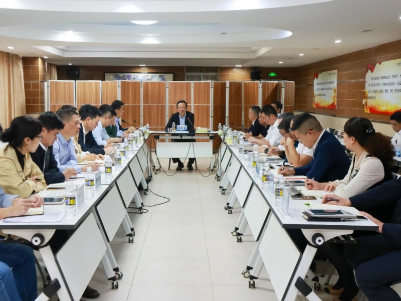 海南咨询集团传达学习党的二十届四中全会和省委常委会（扩大）会议精神