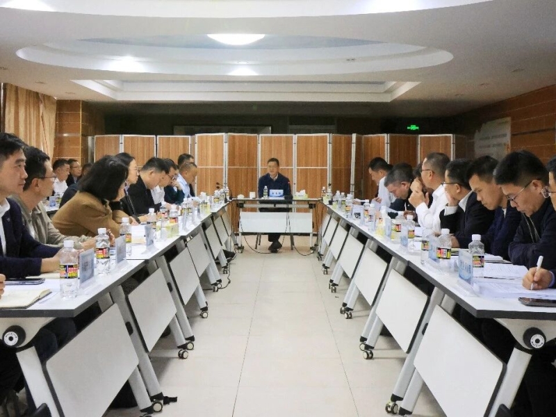 海南咨询2025年度经营分析会议在海口召开