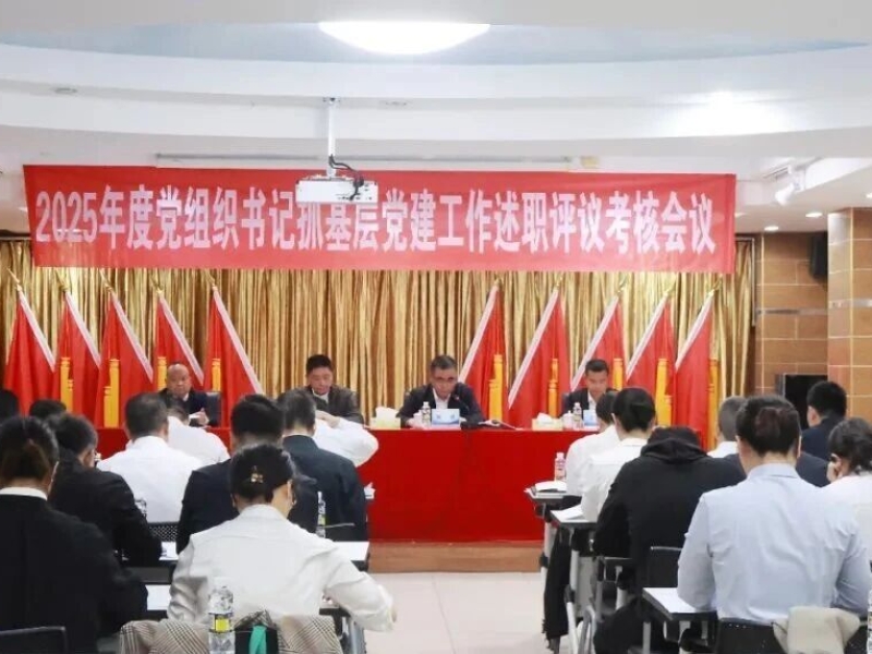 海南咨询集团党委召开2025年度党组织书记抓基层党建工作述职评议会议