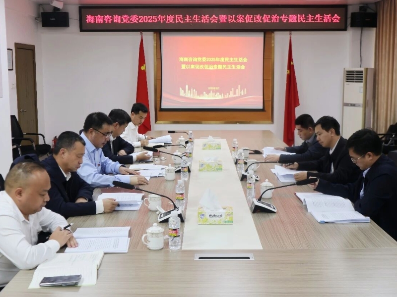 海南咨询党委召开2025年度民主生活会暨以案促改促治专题民主生活会