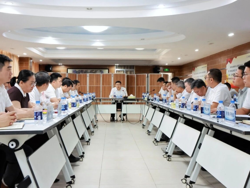海南咨询集团召开2026年一季度经营分析会