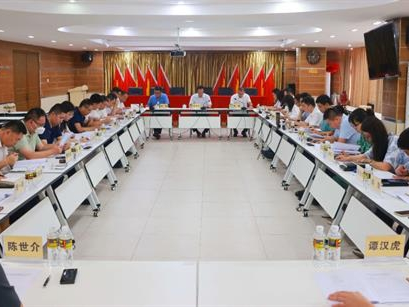 海南咨询召开2023年上半年经营分析会