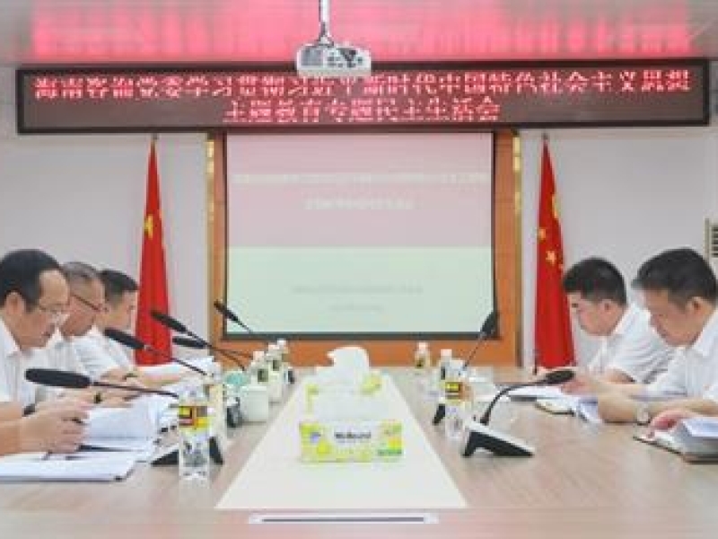 海南咨询集团党委召开学习贯彻习近平新时代中国特色社会主义思想主题教育专题民主生活会