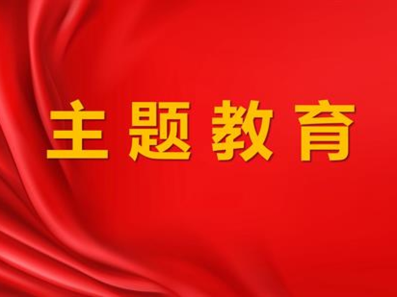 海南咨询集团党委领导班子成员以普通党员身份参加支部组织生活会