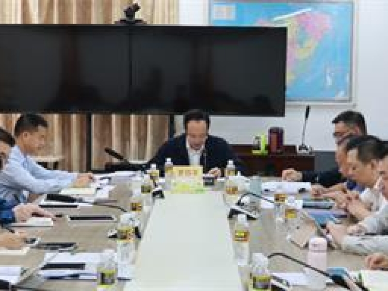 海南咨询集团传达省委八届四次全会精神