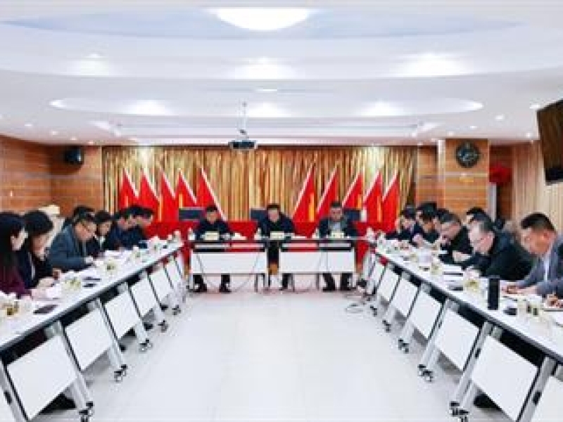 海南咨询召开2023年度经营分析会议