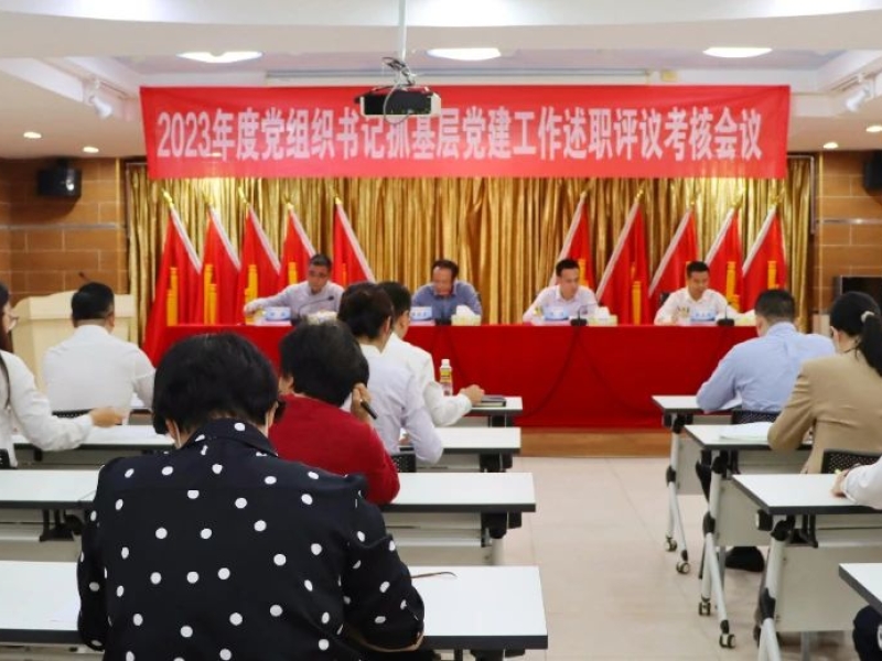 海南咨询集团党委召开2023年度党组织书记抓基层党建工作述职评议会