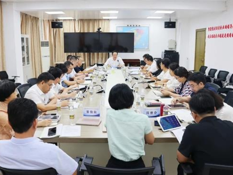海南咨询集团召开党委（扩大）会议 传达学习党的二十届三中全会精神