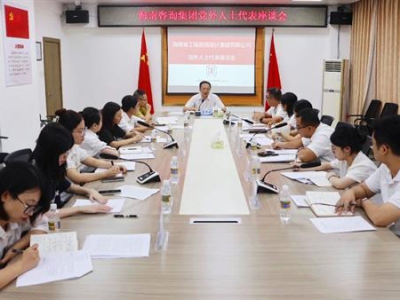 海南咨询集团召开党外人士座谈会