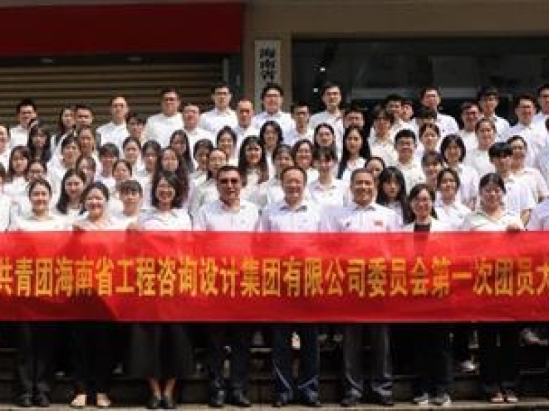 团心聚力 携手前行——海南咨询集团第一次团员大会胜利召开