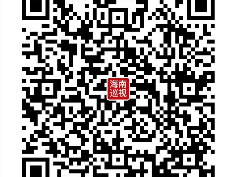 海南省工程咨询设计集团有限公司党委巡视公告