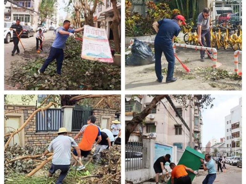 全力以“复” 共护家园（一）