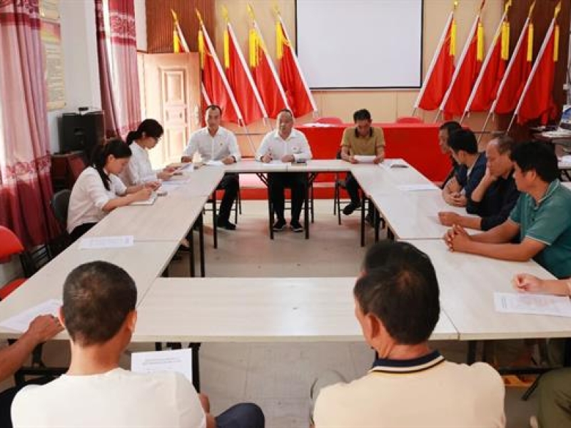 海南咨询集团开展第四季度定点帮扶调研工作