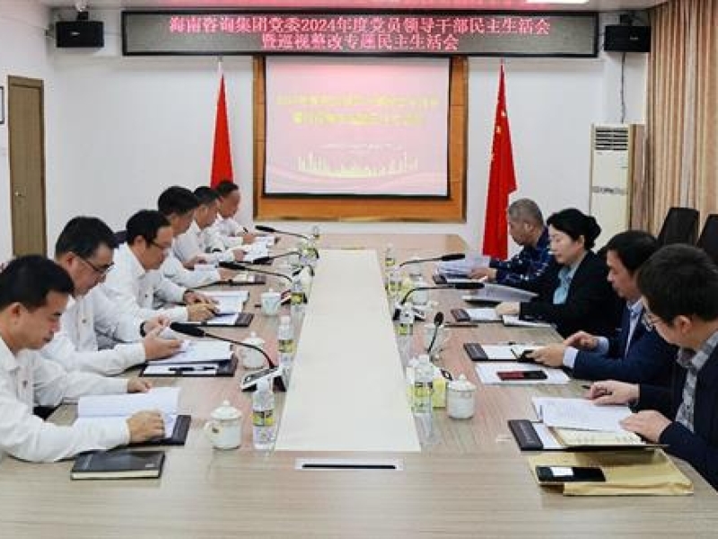 海南咨询集团党委召开2024年度党员领导干部民主生活会暨巡视整改专题民主生活会
