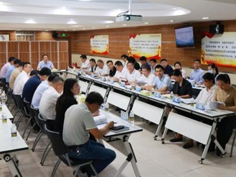 海南咨询2025年一季度经营分析会议在海口召开